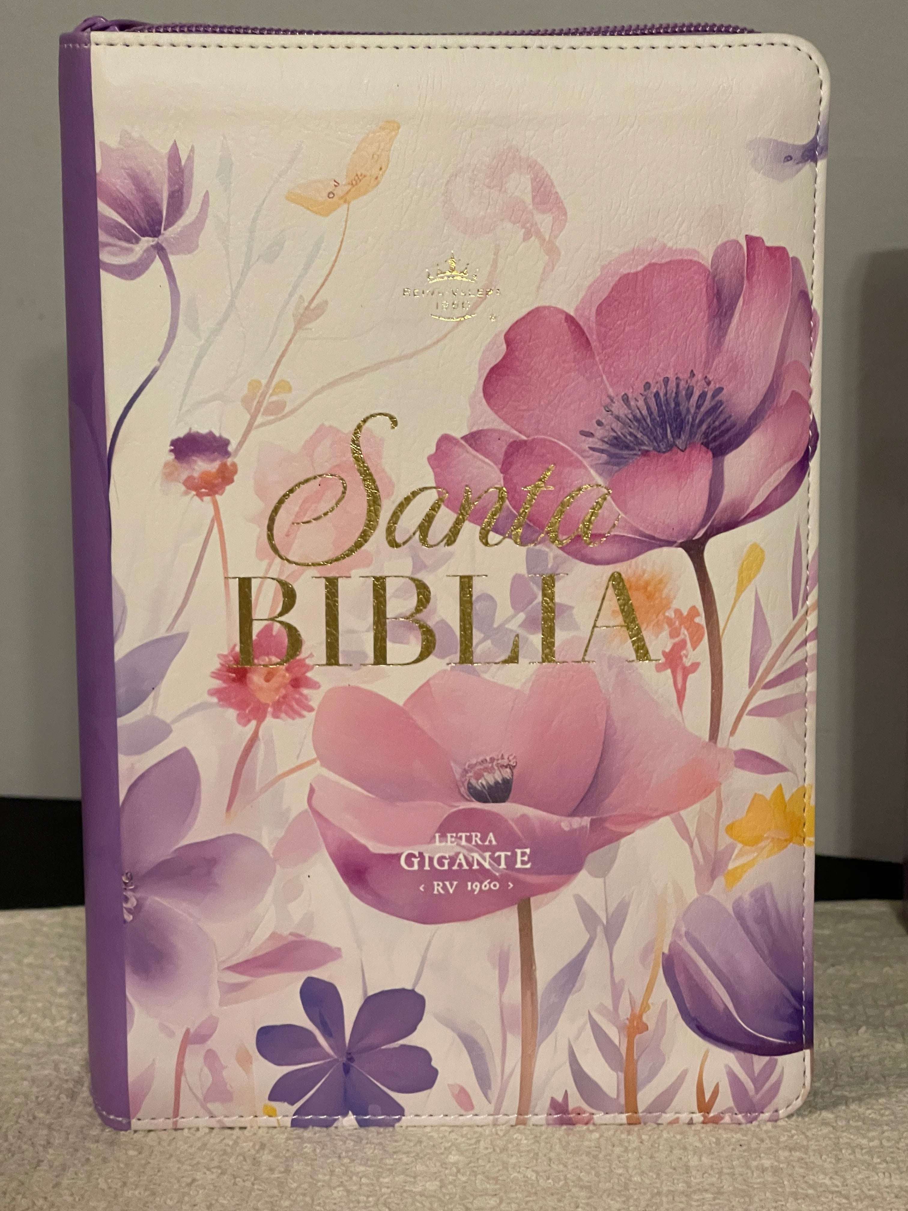 Reina Valera 1960 Biblia letra grande 14 puntos